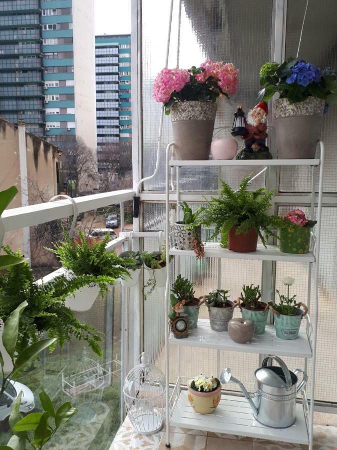 Apartman Blue Sea View
